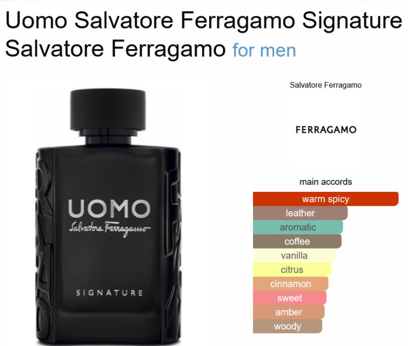 Uomo Salvatore Ferragamo Signature