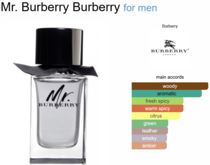 Mr. Burberry