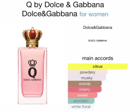 Q by Dolce & Gabbana