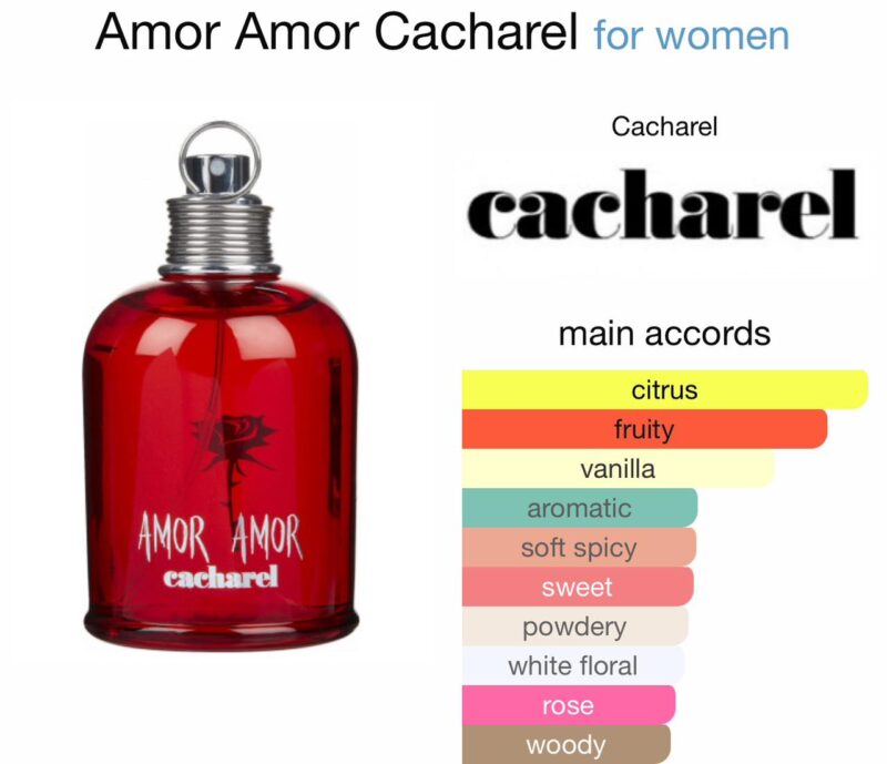 Amor Amor